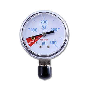 Low N2 Pressure Gauge